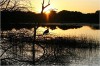 african safari_3.jpg